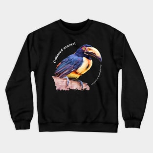 Collared aracari tropical bird pin white text Crewneck Sweatshirt